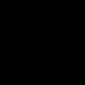 Meet your Posher, Amir